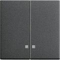 GIRA 063128 Wippe 2fach Kontrollfenster System 55 Anthrazit