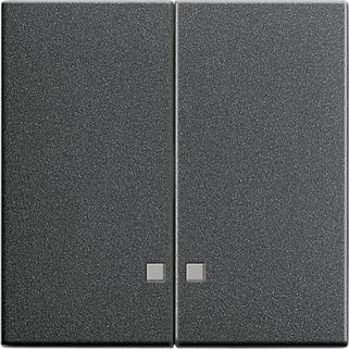GIRA 063128 Wippe 2fach Kontrollfenster System 55 Anthrazit