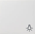 GIRA 028527 Wippe Symbol Licht System 55 Reinweiß seidenmatt