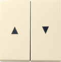 GIRA 029401 Wippe 2fach Pfeil System 55 Cremeweiß glänzend