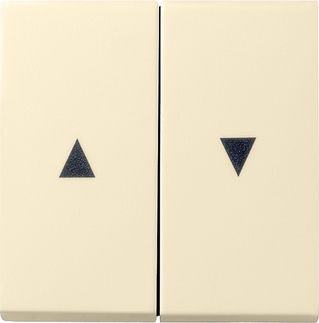 GIRA 029401 Wippe 2fach Pfeil System 55 Cremeweiß glänzend