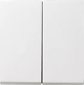 GIRA 029503 Wippe 2fach System 55 Reinweiß glänzend