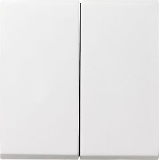 GIRA 029503 Wippe 2fach System 55 Reinweiß glänzend