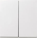 GIRA 029503 Wippe 2fach System 55 Reinweiß glänzend