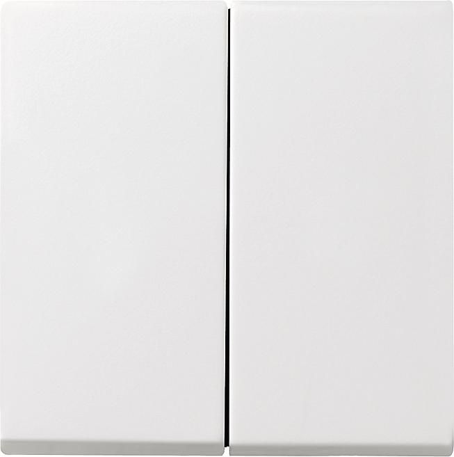 GIRA 029503 Wippe 2fach System 55 Reinweiß glänzend