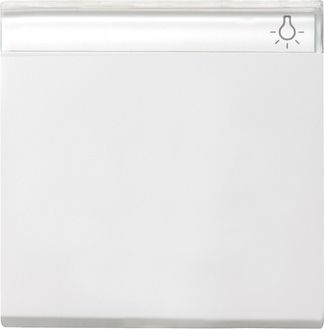 GIRA 029903 Wippe Beschriftungsfeld System 55 Reinweiß glänzend