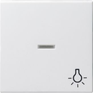 GIRA 067403 Wippe Kontrollfenster+Symbol Licht System 55 Reinweiß glänzend