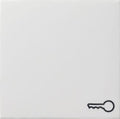 GIRA 028727 Wippe Symbol Tür System 55 Reinweiß seidenmatt