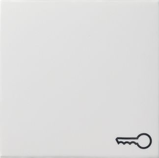 GIRA 028727 Wippe Symbol Tür System 55 Reinweiß seidenmatt