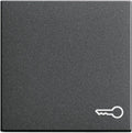 GIRA 028728 Wippe Symbol Tür System 55 Anthrazit