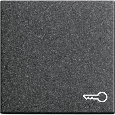 GIRA 028728 Wippe Symbol Tür System 55 Anthrazit