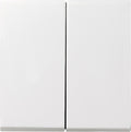 GIRA 029527 Wippe 2fach System 55 Reinweiß seidenmatt