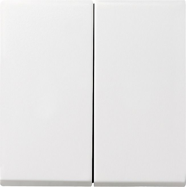 GIRA 029527 Wippe 2fach System 55 Reinweiß seidenmatt