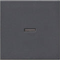 GIRA 029028 Wippe Kontrollfenster System 55 Anthrazit