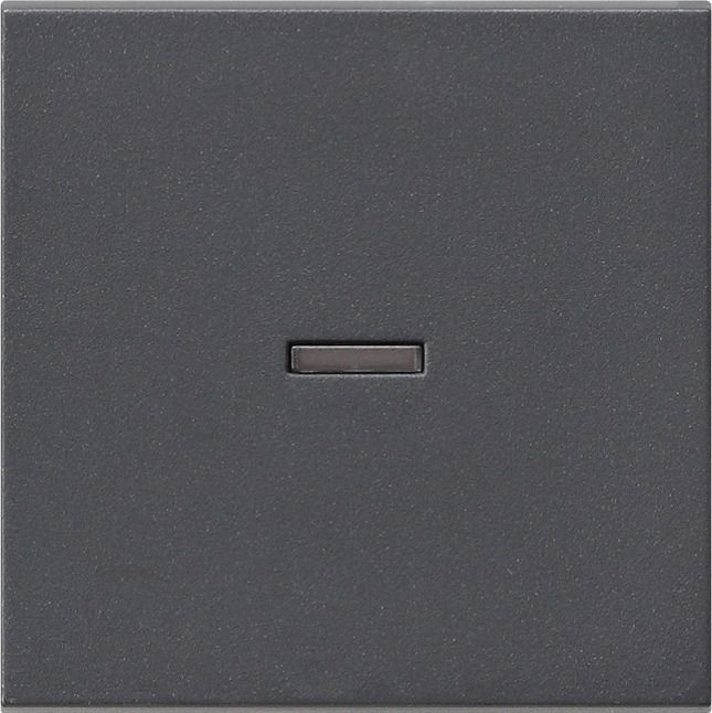 GIRA 029028 Wippe Kontrollfenster System 55 Anthrazit