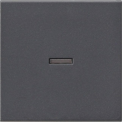 GIRA 029028 Wippe Kontrollfenster System 55 Anthrazit
