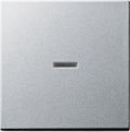 GIRA 029026 Wippe Kontrollfenster System 55 Farbe Alu