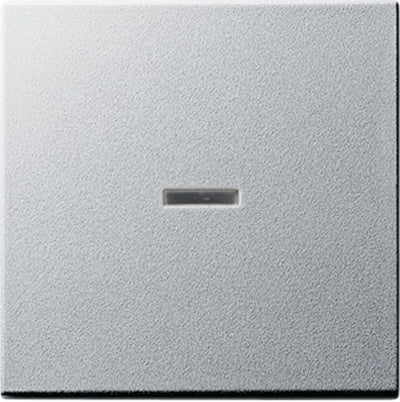 GIRA 029026 Wippe Kontrollfenster System 55 Farbe Alu